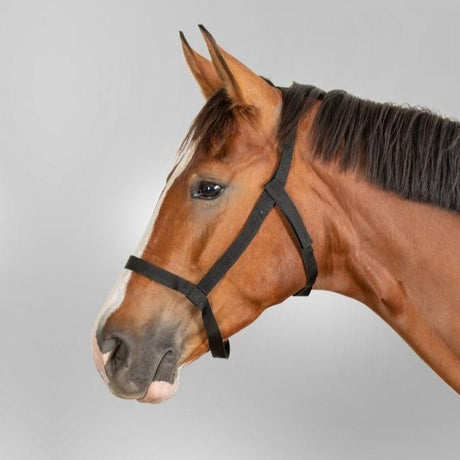 Waldhausen Grazing Halter #colour_black