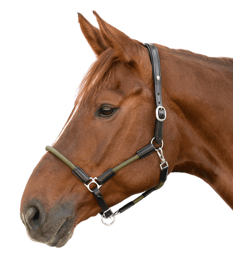 Waldhausen X-Line Nevada Leather Halter #colour_black-green