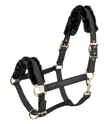 Waldhausen Exclusive Halter #colour_black-black