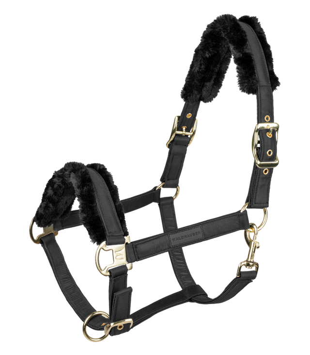 Waldhausen Exclusive Halter #colour_black-black