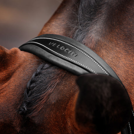 Shires Velociti LUSSO Opus 180M Padded Flash Bridle #colour_black