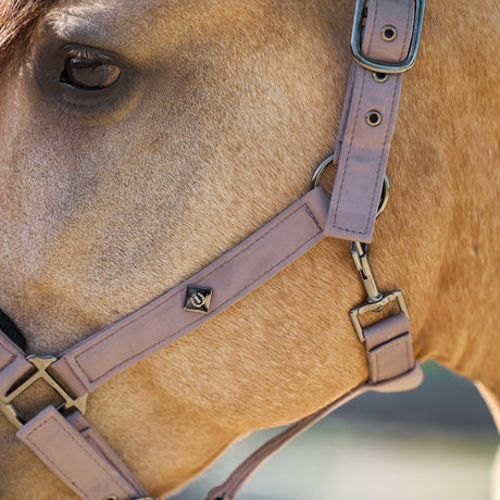 Imperial Riding Jewel Mesh Headcollar #colour_marble