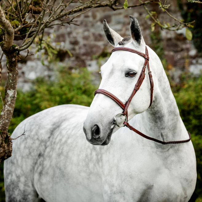 Horseware Ireland Hunter Cavesson Bridle with Reins #colour_dark-tan