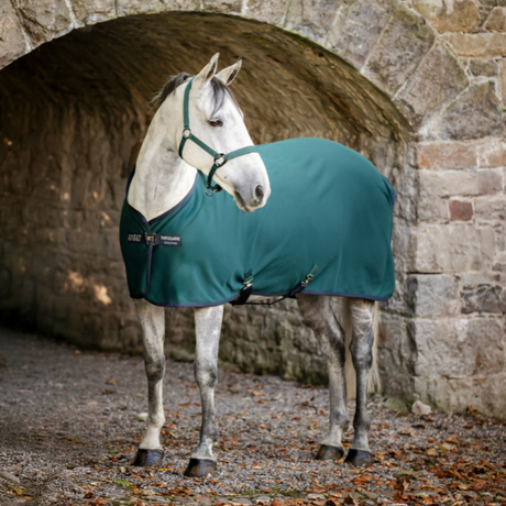 Horseware Ireland Amigo Jersey Cooler #colour_dynasty green-navy-silver