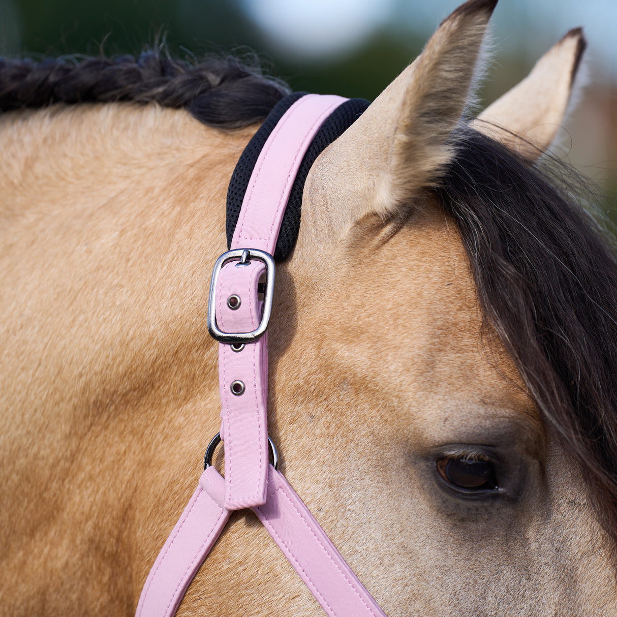 Imperial Riding Jewel Mesh Headcollar #colour_ballerina