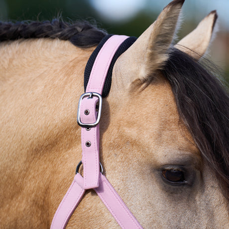 Imperial Riding Jewel Mesh Headcollar #colour_ballerina