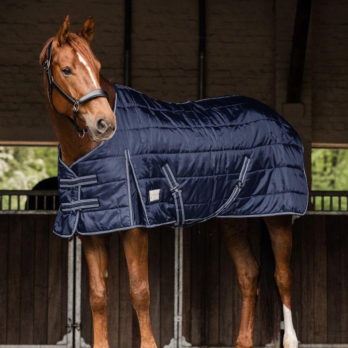 Waldhausen Economic 100g Stable Rug #colour_night-blue