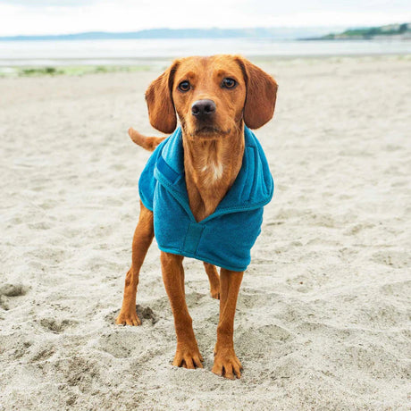 Mountain Paws Dog Robe #colour_blue