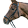 STAR Hannover Bridle #colour_black