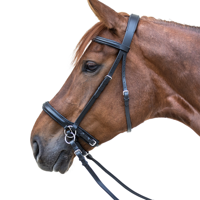 STAR Bitless Bridle #colour_black