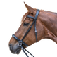 STAR Bitless Bridle