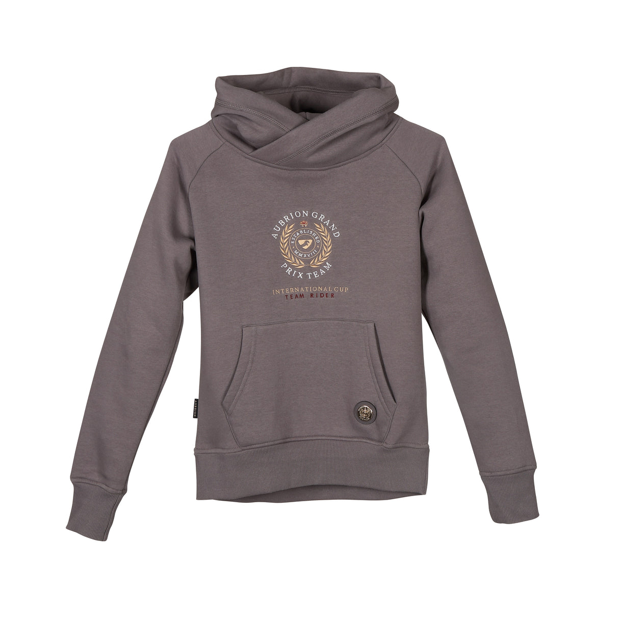 Shires Aubrion Young Rider Team Hoodie #colour_grey