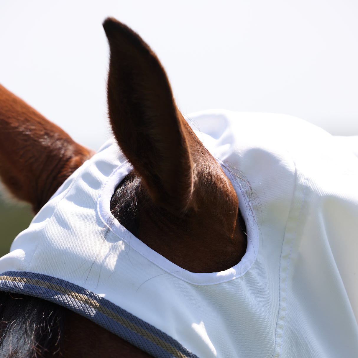 Shires Highlander Plus Sweet-itch Combo Rug #colour_white-airforce