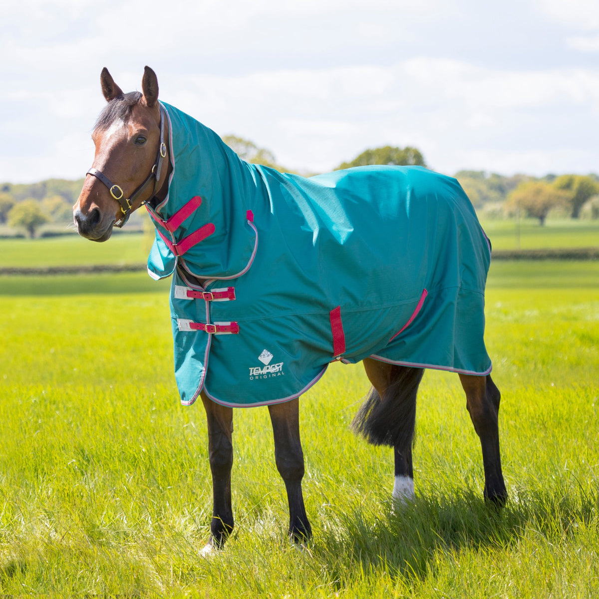 Shires Tempest Original Air Motion Combi Rug 0g