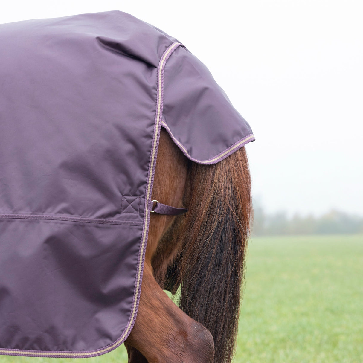 Shires Typhoon 100g Turnout Rug #colour_black-cherry