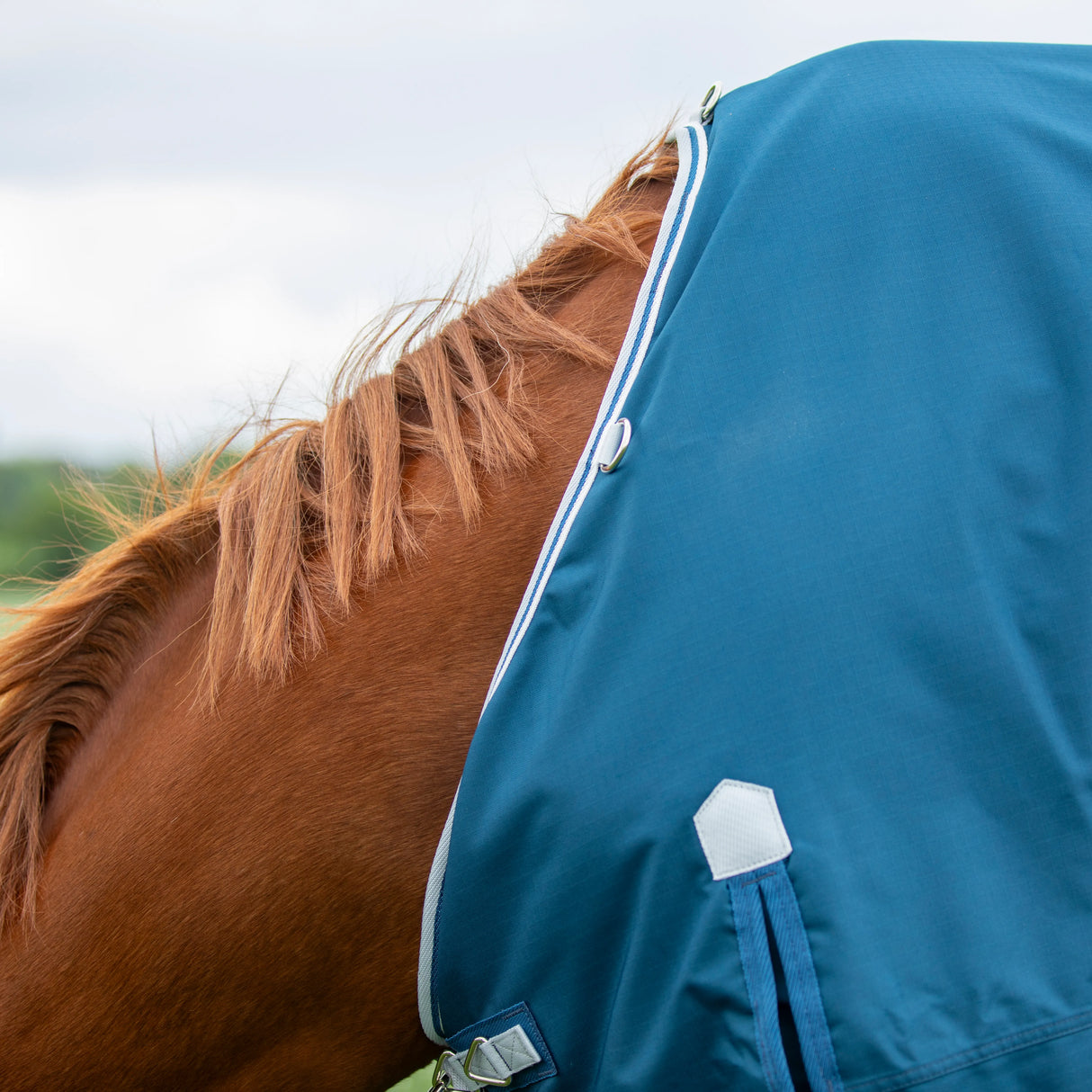 Shires Highlander Original 50g Turnout Rug