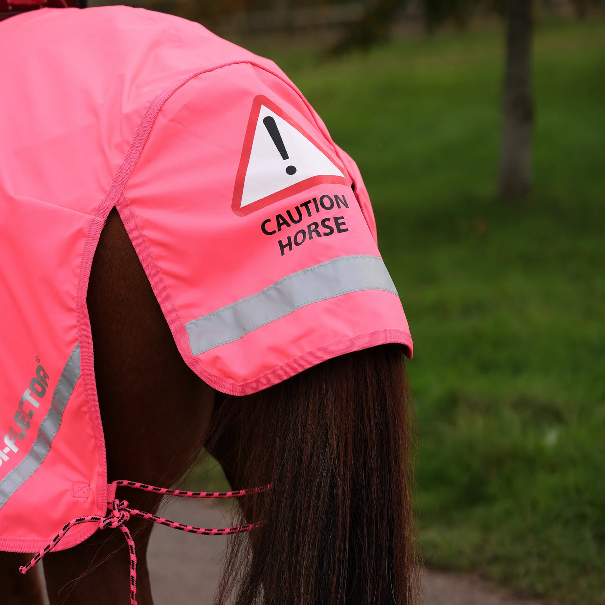 Shires EQUI-FLECTOR Waterproof Exercise Sheet #colour_pink