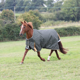 Shires Highlander plus 50g valgdeltag