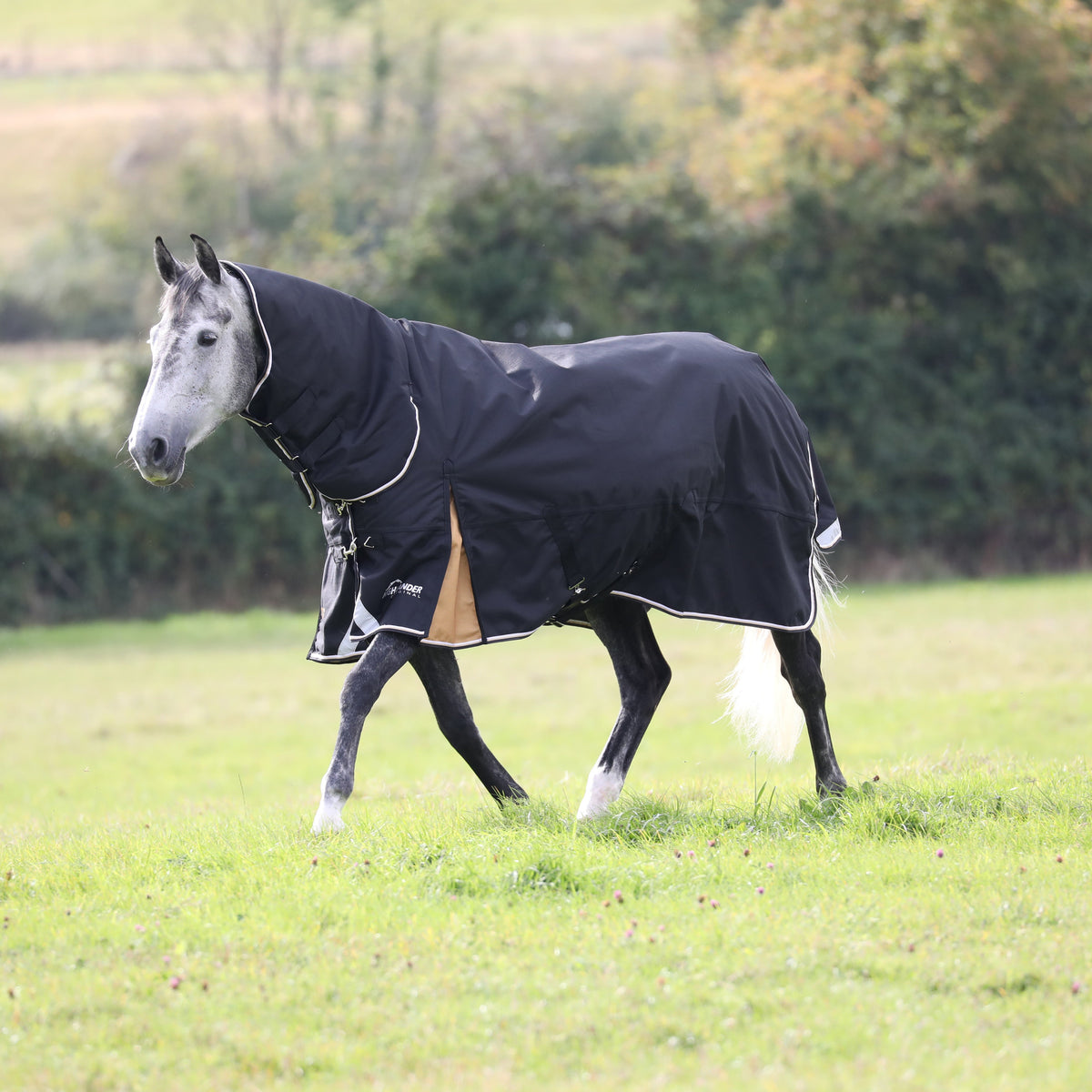 Shires Highlander Plus 200 Combo Weidedecke