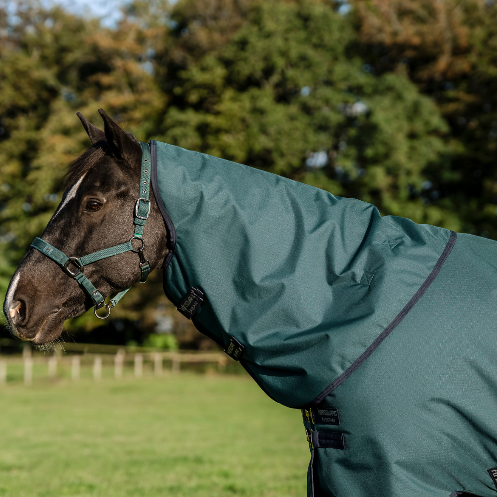 Horseware Ireland Amigo Ripstop 900 Plus 200g #colour_dynasty-green-navy-silver