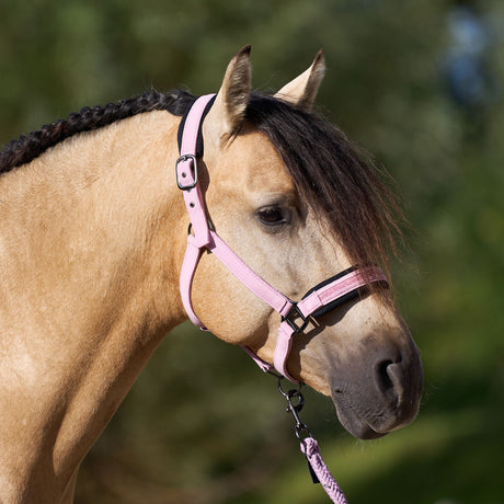 Imperial Riding Jewel Mesh Headcollar #colour_ballerina