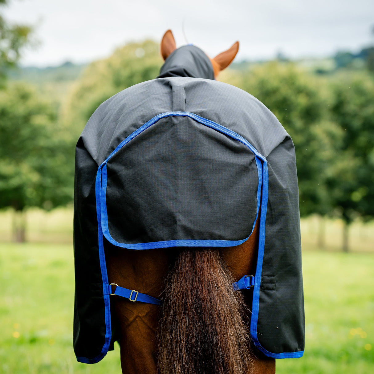 Horseware Ireland Amigo Ripstop 900 Fleece Lined 50g #colour_black-classic-blue