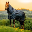 Horseware Ireland Amigo Ripstop 900D Plus 100g Pony Turnout Rug #colour_witney-navy