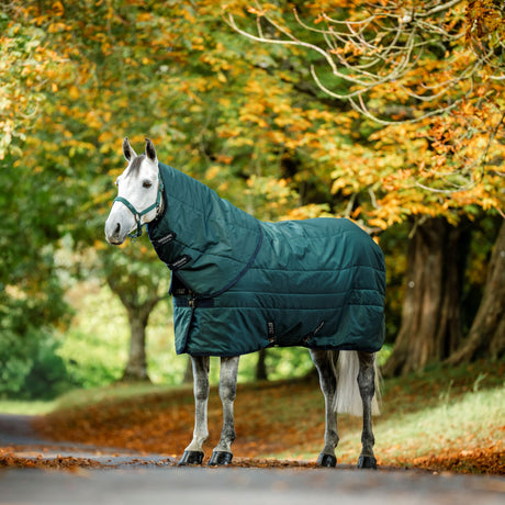 Horseware Ireland Amigo Ripstop Insulator 350g Stable Rug #colour_dynasty-green-navy-silver
