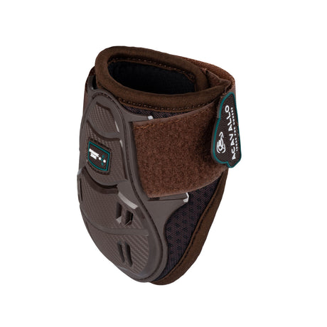 Skeleton Dynamic Zone Fetlock