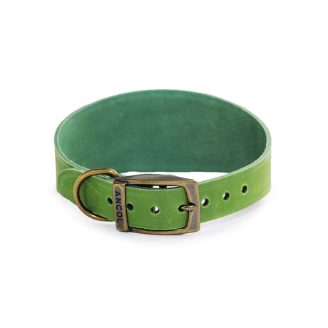 Ancol Timberwolf Hound Collar #colour_green