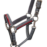 Double adjustment halter