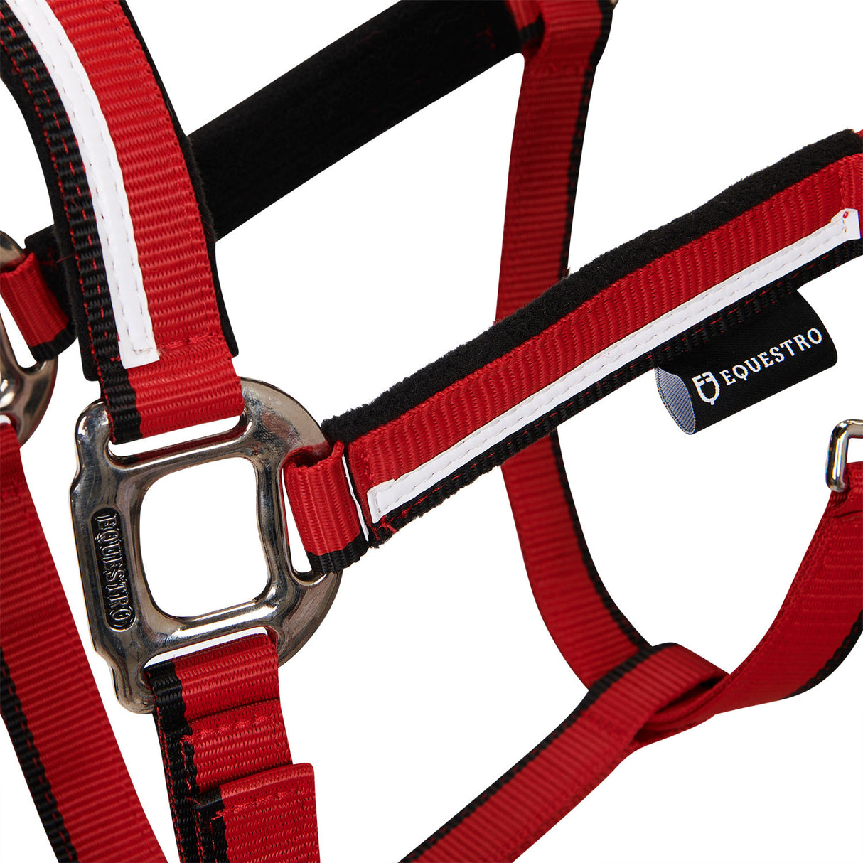 Halter with fleece padding and snap hook