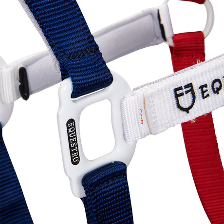 Equestro Nylon Halter With Snap Hook #colour_blue