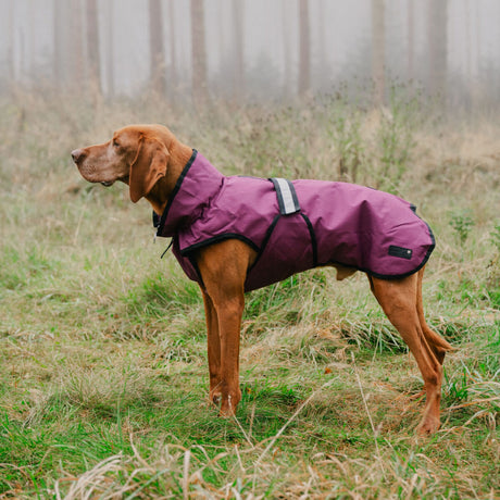 Danish Design 3-In-1 Dog Coat #colour_plum