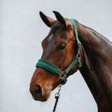 Equilibrium Stellar Style Headcollar
