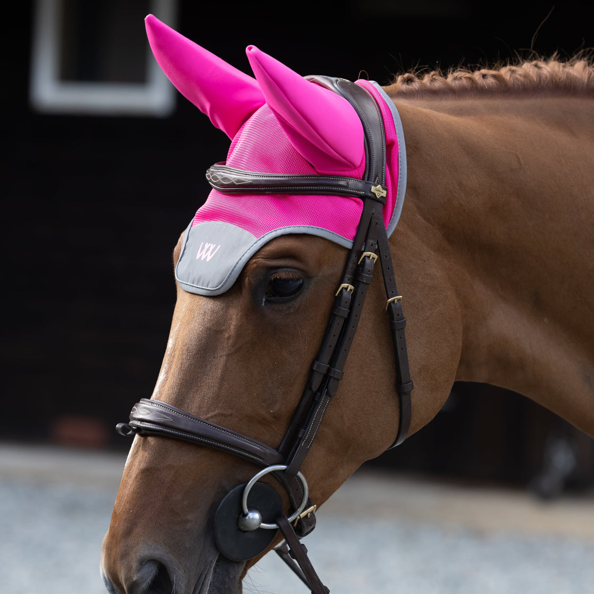 Woof Wear Hi Vis Noise Cancelling Fly Veil #colour_hi-vis-pink