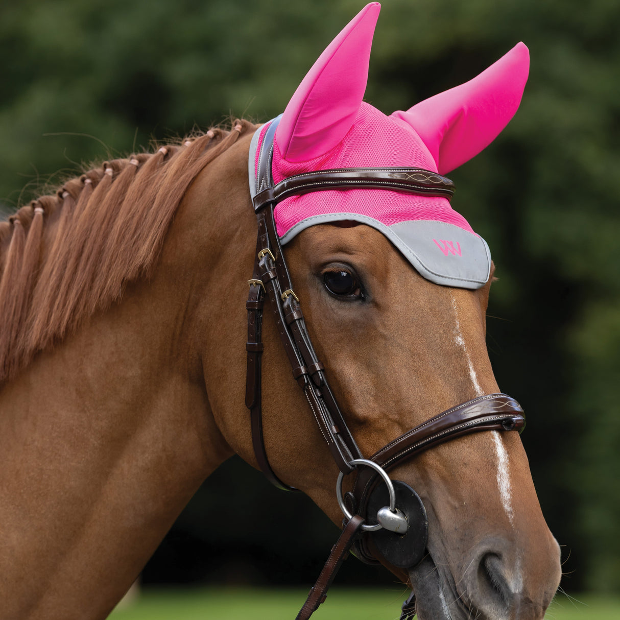 Woof Wear Hi Vis Noise Cancelling Fly Veil #colour_hi-vis-pink