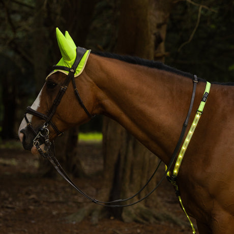 Woof Wear Hi Vis Noise Cancelling Fly Veil #colour_hi-vis-yellow