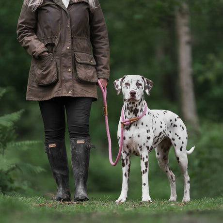 Ruff & Tumble Thick Slip Dog Lead #colour_dusty-pink