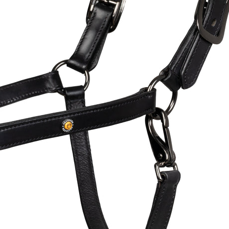 Leather halter with glittery piping