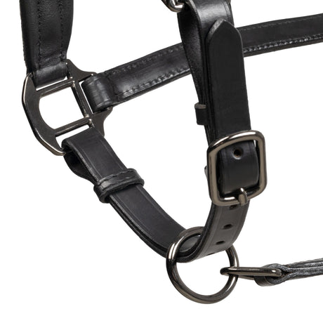 Leather halter with glittery piping