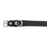 Web dog collar