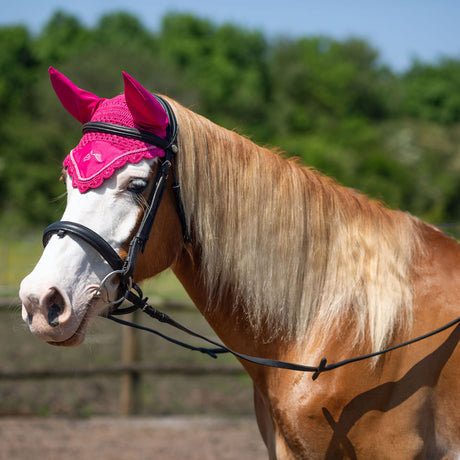 Gallop Classic Fly Veil #colour_fuchsia