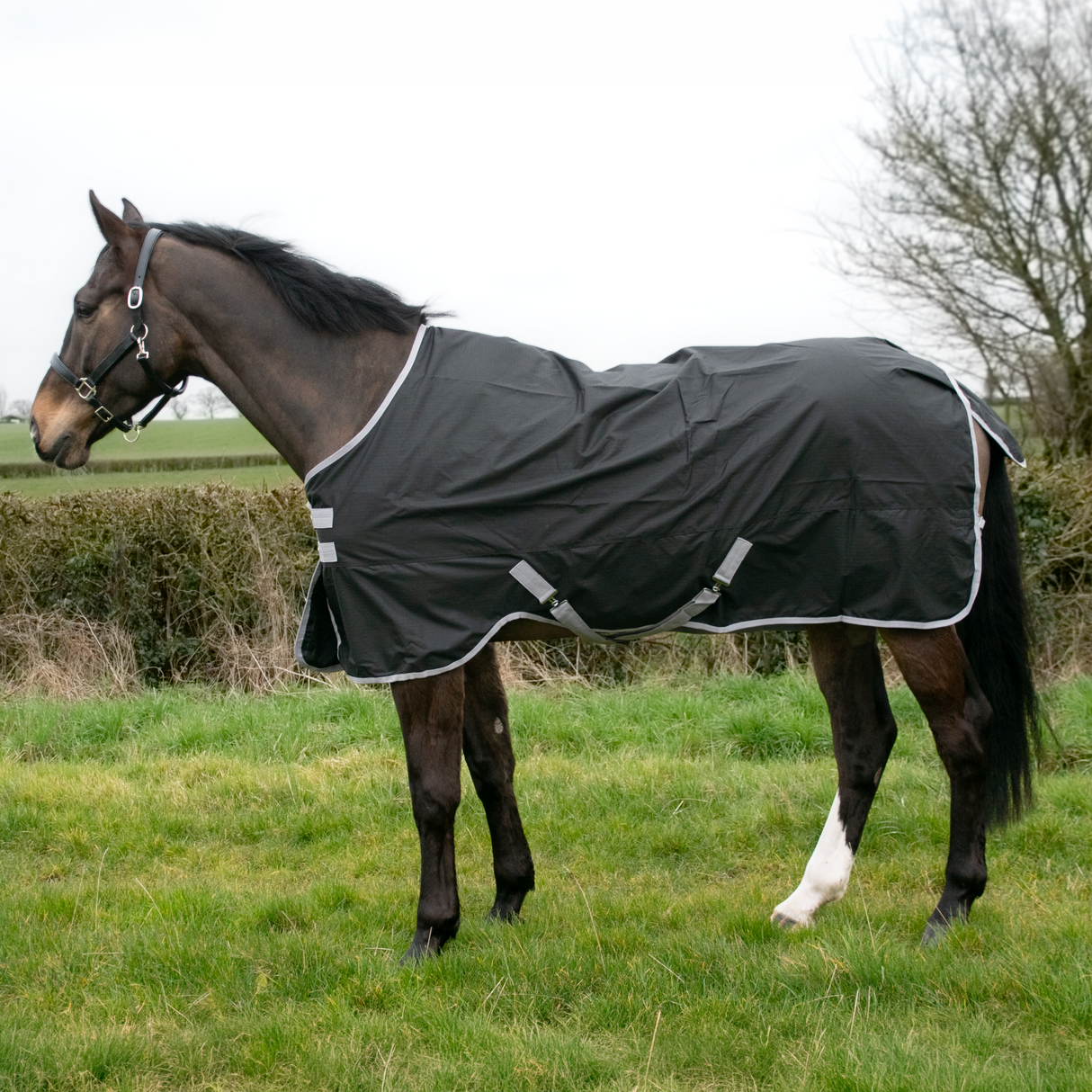GS Equestrian 600D vandtæt valgdeltagelsesrug 0G