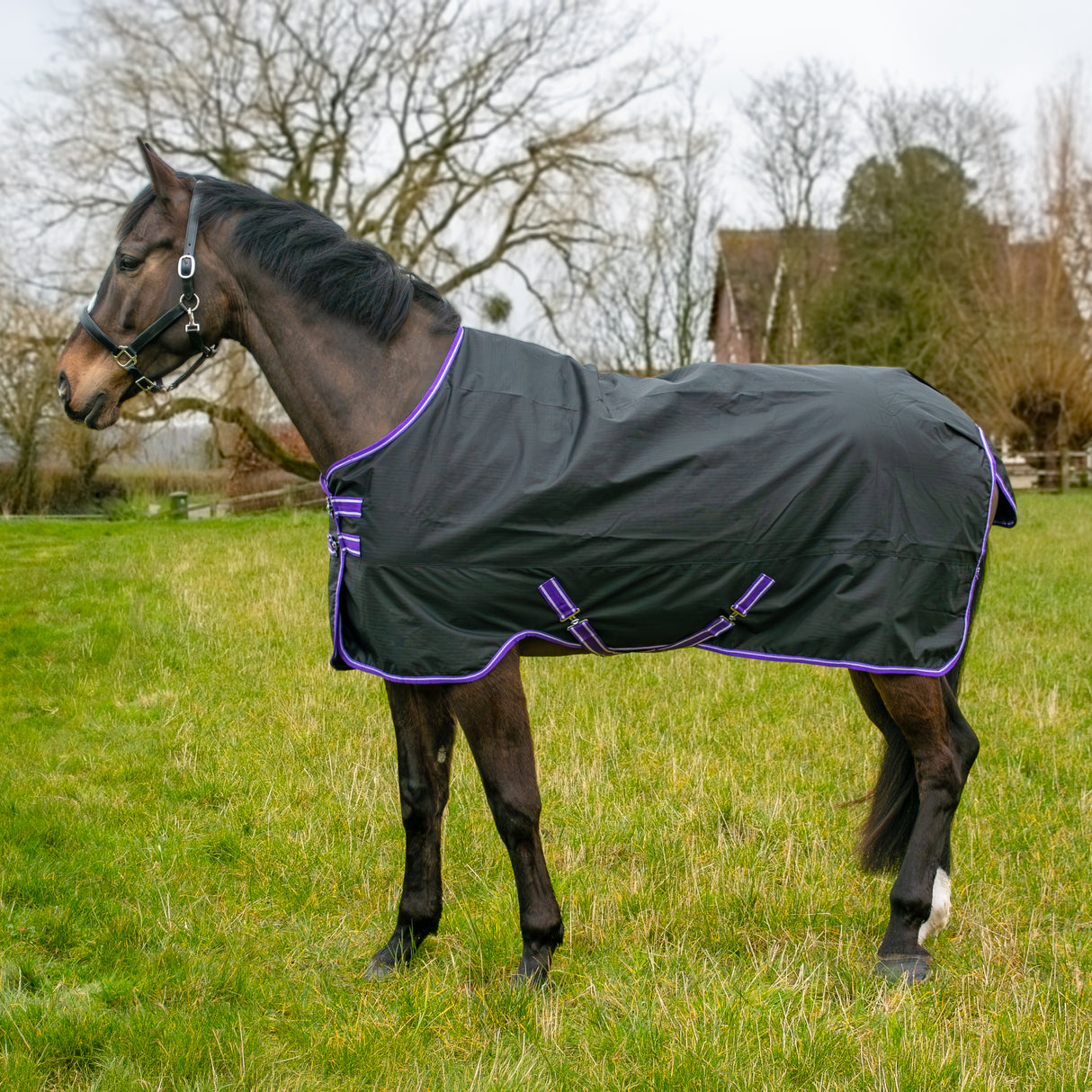 GS Equestrian 600D vandtæt valgdeltagelsesrug 0G