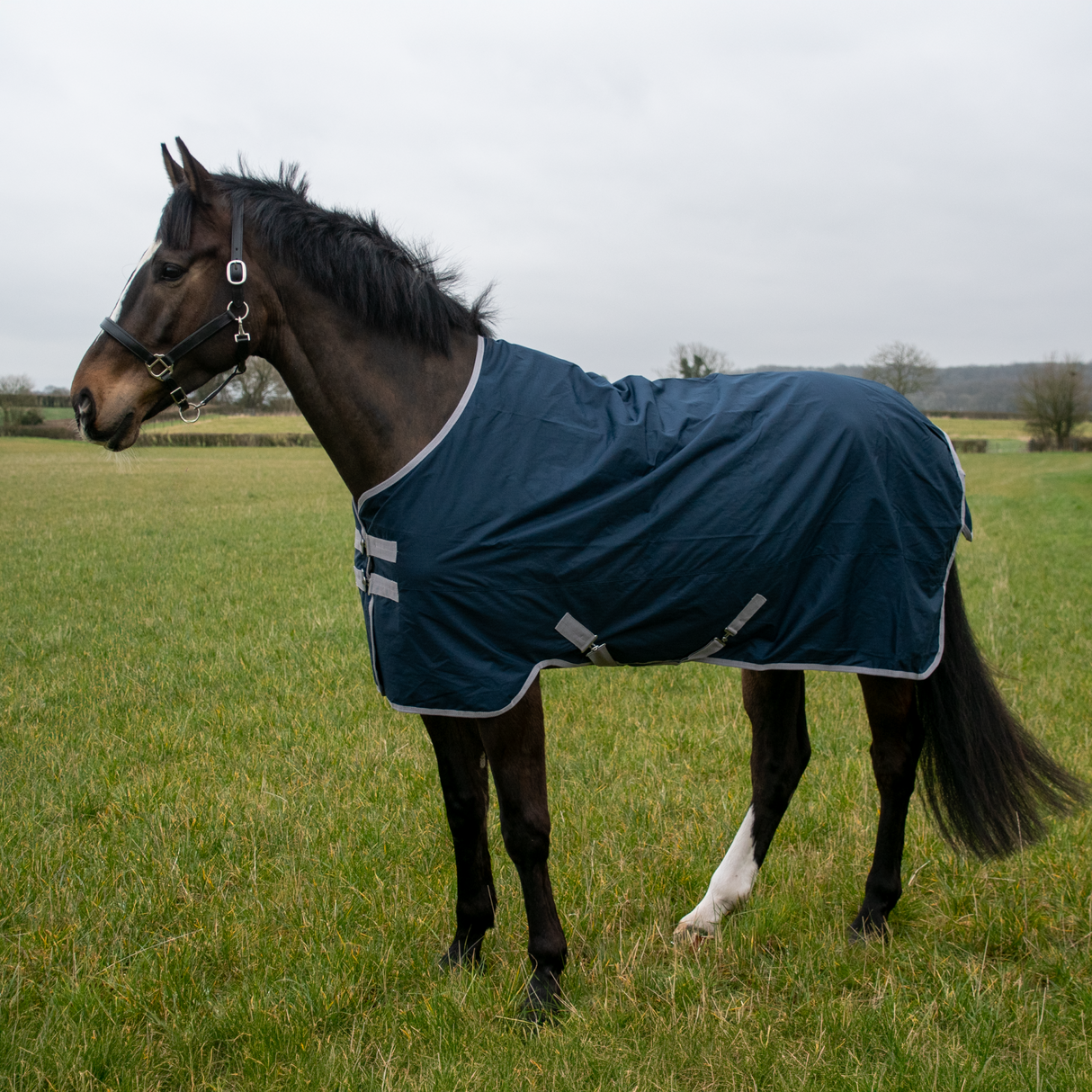 GS Equestrian 600D vandtæt valgdeltagelsesrug 0G