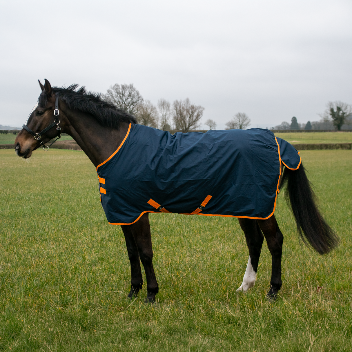 GS Equestrian 600D vandtæt valgdeltagelsesrug 0G