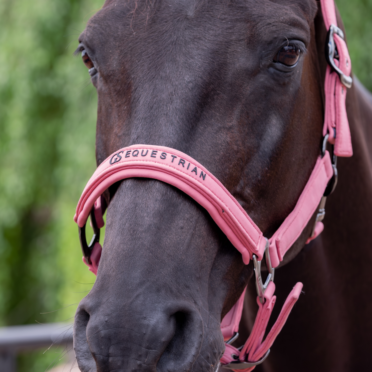 GS Equestrian & Country Revella Headcollar