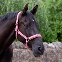 GS Equestrian & Country Revella Headcollar