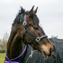 #colour_black